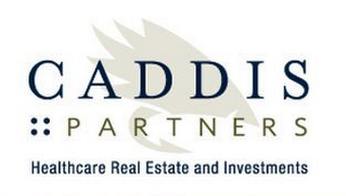 CADDIS PARTNERS HEALTHCARE REAL ESTATE AND INVESTMENTS