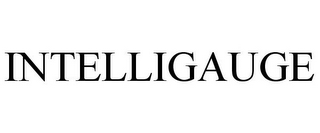 INTELLIGAUGE