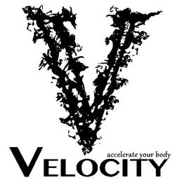 V VELOCITY ACCELERATE YOUR BODY