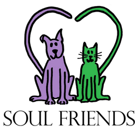 SOUL FRIENDS