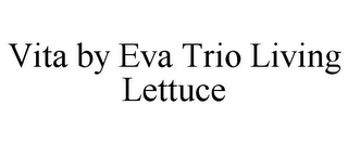 VITA BY EVA TRIO LIVING LETTUCE