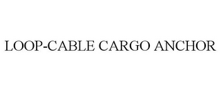 LOOP-CABLE CARGO ANCHOR