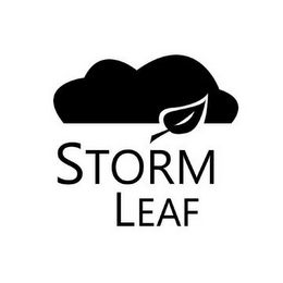 STORM LEAF