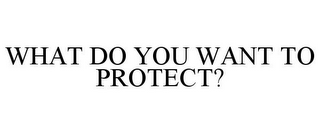 WHAT DO YOU WANT TO PROTECT?