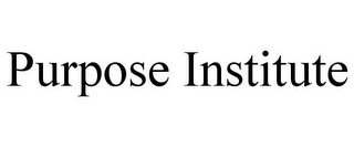PURPOSE INSTITUTE