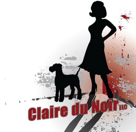 CLAIRE DU NOIR LLC