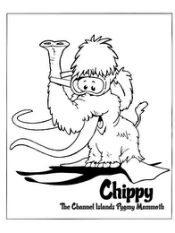 CHIPPY THE CHANNEL ISLANDS PYGMY MAMMOTH