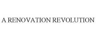 A RENOVATION REVOLUTION