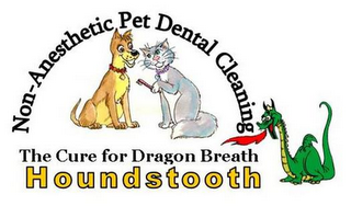 HOUNDSTOOTH THE CURE FOR DRAGON BREATH NON-ANESTHETIC PET TEETH CLEANING