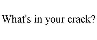 WHAT'S IN YOUR CRACK?