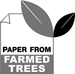 PAPER FROM FARMED TREES