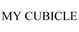 MY CUBICLE