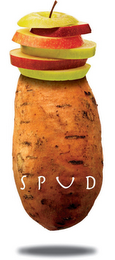 SPUD