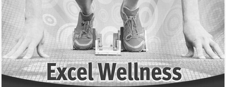 EXCEL WELLNESS