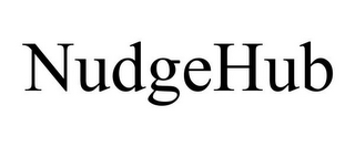 NUDGEHUB