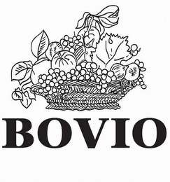 BOVIO