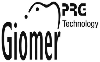 GIOMER PRG TECHNOLOGY