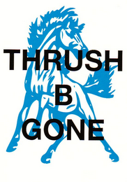 THRUSH B GONE