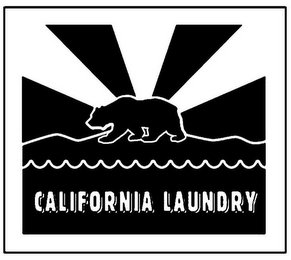 CALIFORNIA LAUNDRY