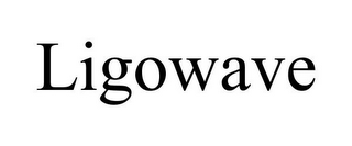 LIGOWAVE