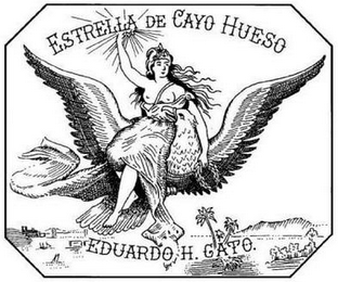 ESTRELLA DE CAYO HUESO EDUARDO H. GATO