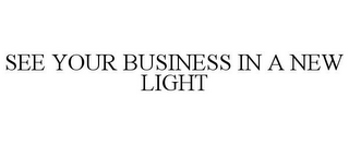 SEE YOUR BUSINESS IN A NEW LIGHT