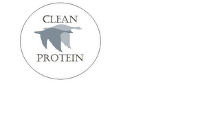 CLEAN PROTEIN