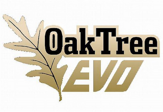 OAKTREE EVO