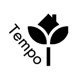 TEMPO