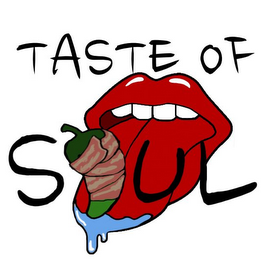 TASTE OF SOUL