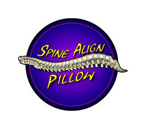 SPINE ALIGN PILLOW