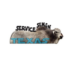 SERVICE SEMEN TEXAS