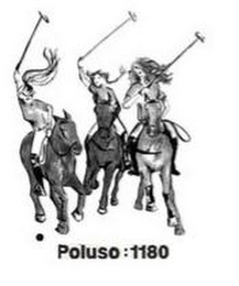 POLUSO : 1180