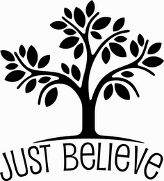 JUST BELIEVE