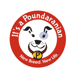 IT'S A POUNDARANIAN P NEW BREED. NEW LIFE.