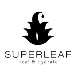 SUPERLEAF HEAL & HYDRATE