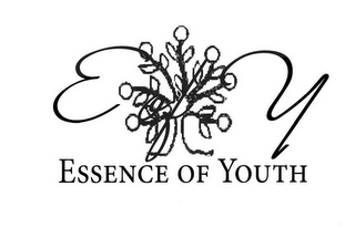 E OF Y ESSENCE OF YOUTH