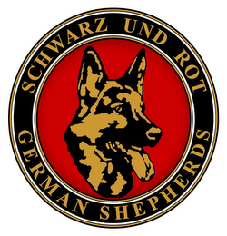 SCHWARZ UND ROT GERMAN SHEPHERDS