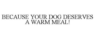 BECAUSE YOUR DOG DESERVES A WARM MEAL!