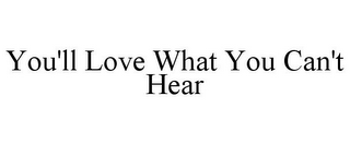 YOU'LL LOVE WHAT YOU CAN'T HEAR