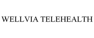 WELLVIA TELEHEALTH