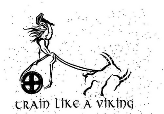 TRAIN LIKE A VIKING