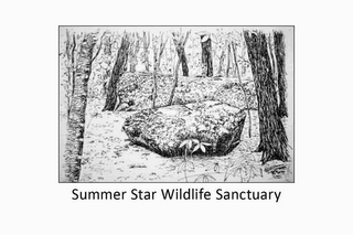 SUMMER STAR WILDLIFE SANCTUARY