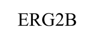 ERG2B