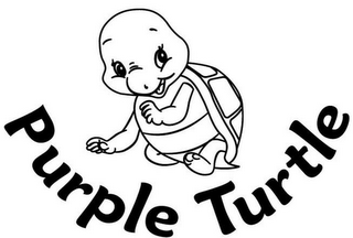 PURPLE TURTLE