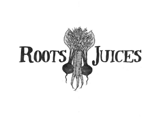 ROOTS JUICES