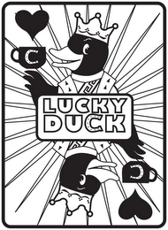 C LUCKY DUCK