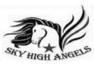 SKY HIGH ANGELS