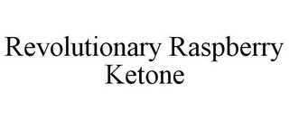 REVOLUTIONARY RASPBERRY KETONE