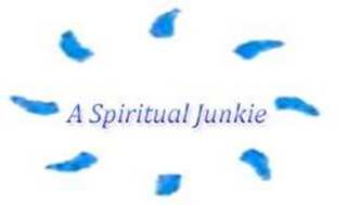 A SPIRITUAL JUNKIE